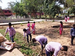 Campus Cleaning